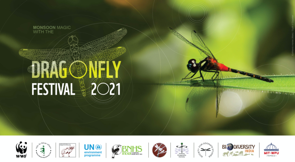 Dragonfly Festival Citizen Science India